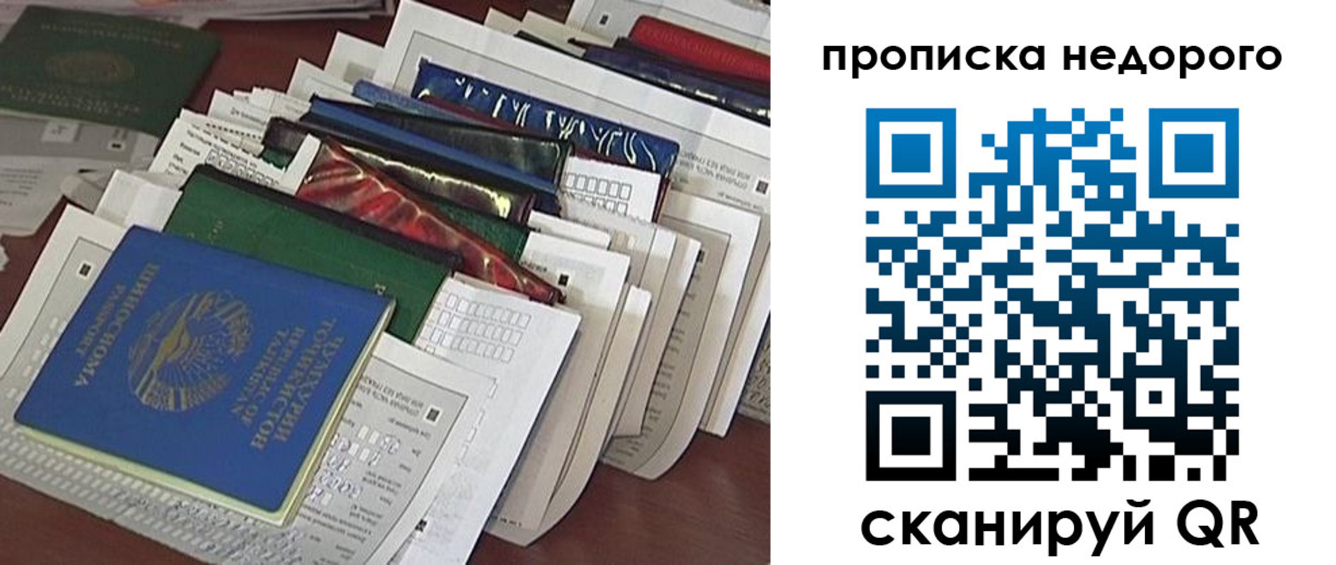 прописка гарантия в Зее